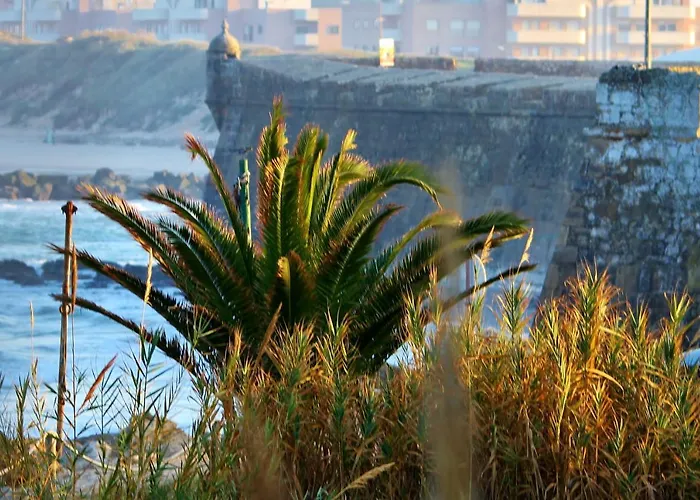 Surf Private 1 Appartement Peniche